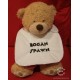 Bogan Baby Bibs